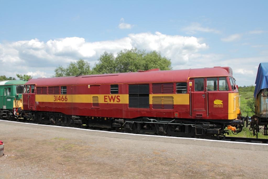 IMG 0052