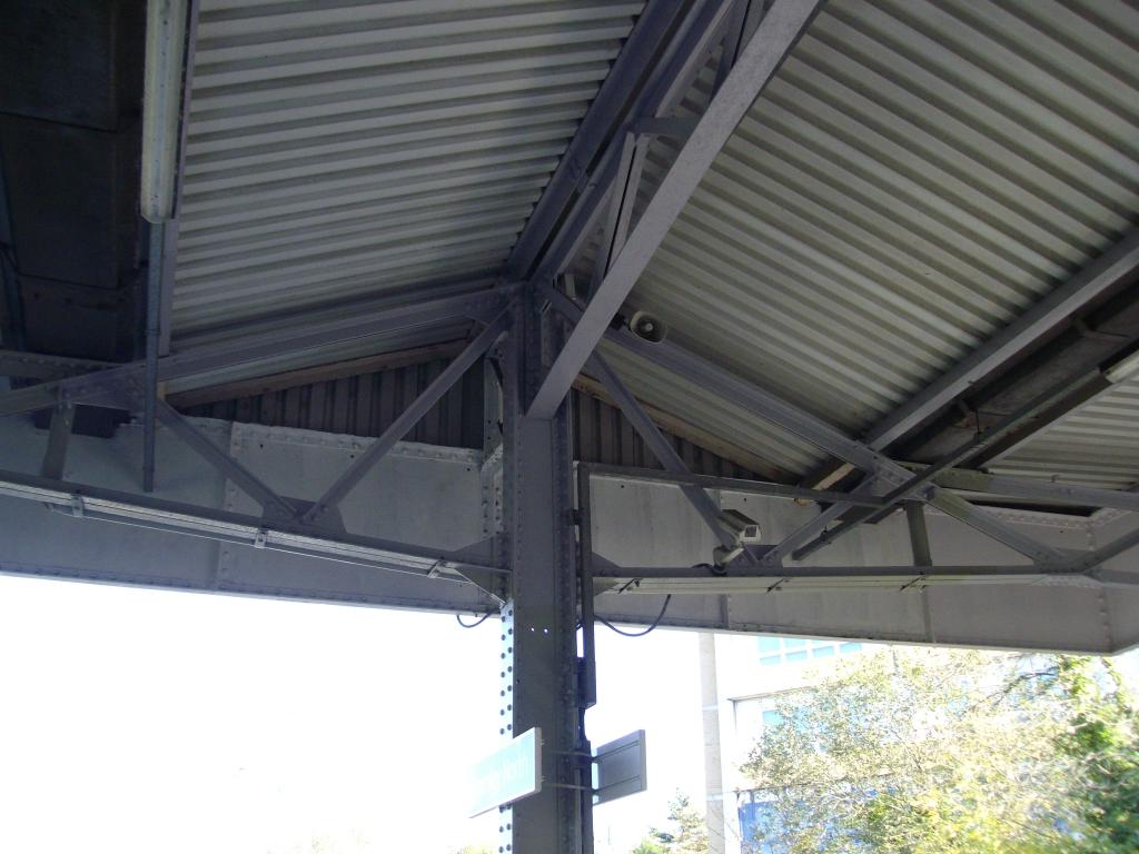 IMGP3178