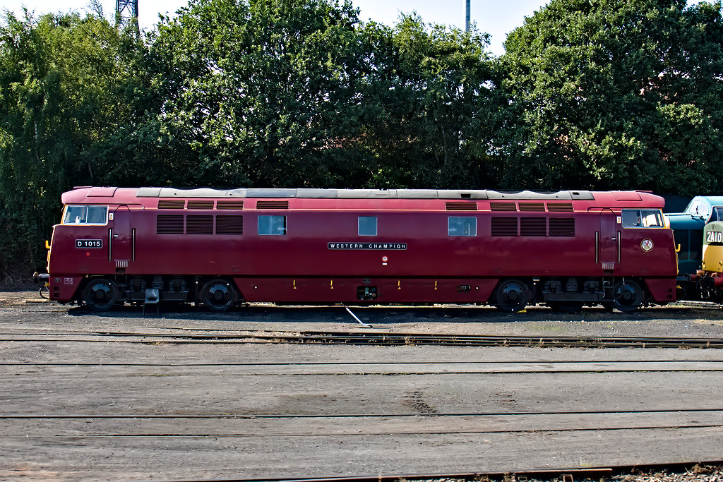 IMJ_12521.jpg