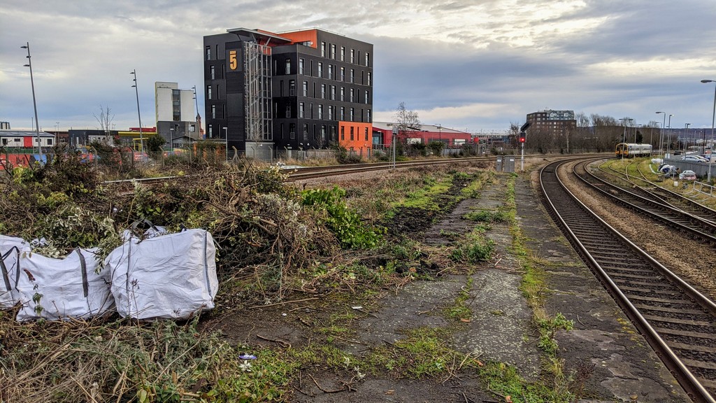 Middlesbrough overgrown platform 2.jpg