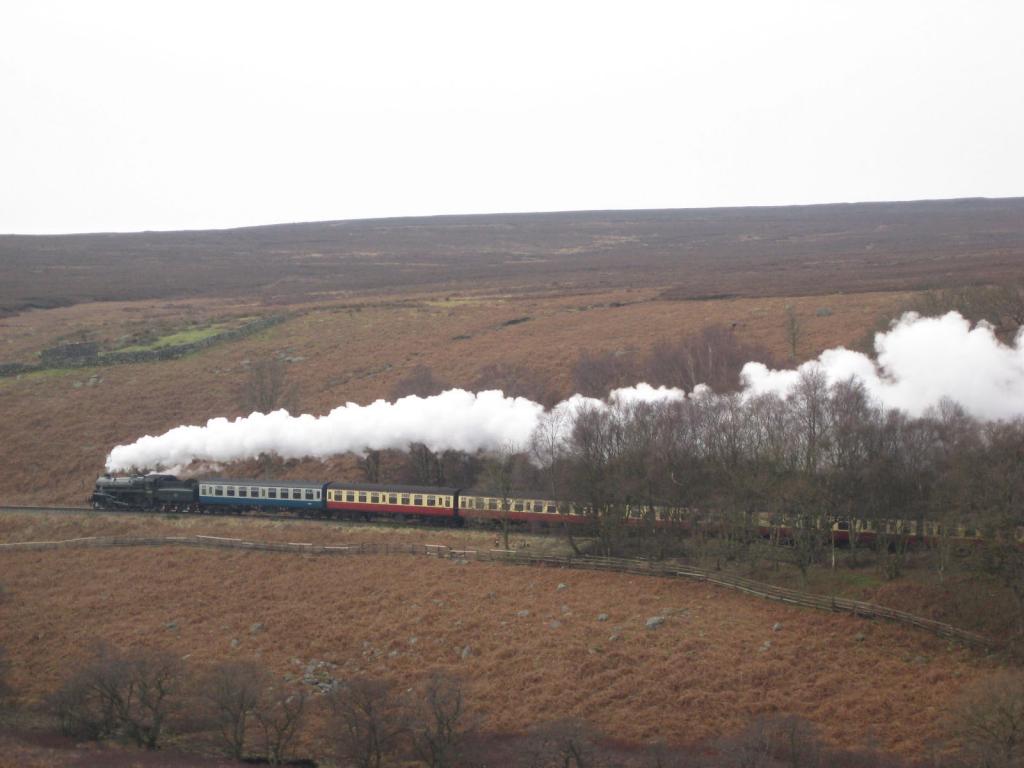 nymr 75029