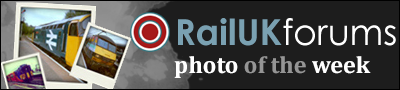 site logo