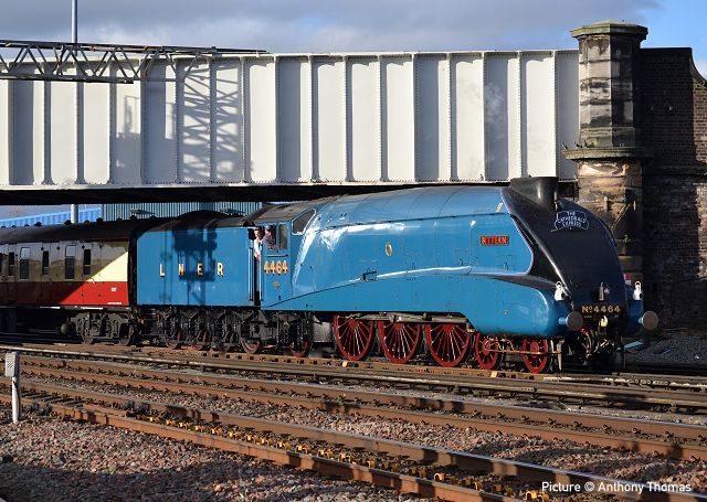 aht141122-Bittern-Chester-04.jpg