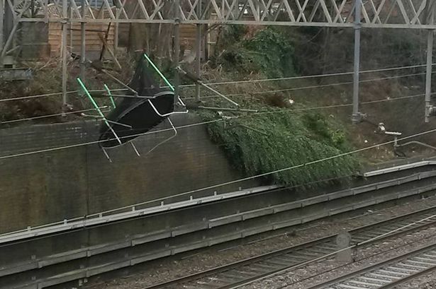 trampoline.jpg