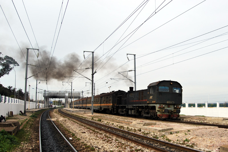 sncft-dk100.jpg