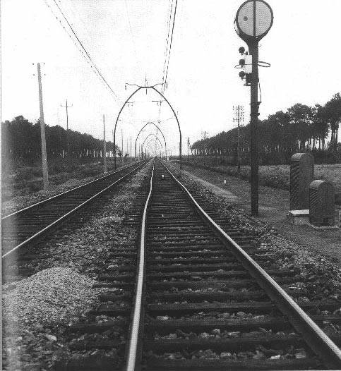1955.jpg