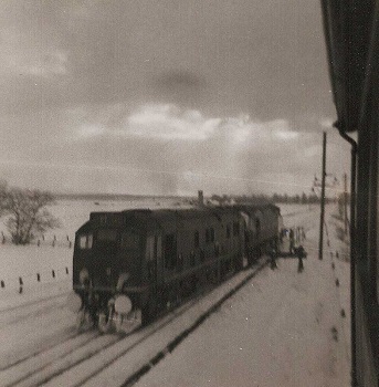 snowdava3.jpg