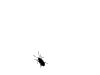 TheFly.gif