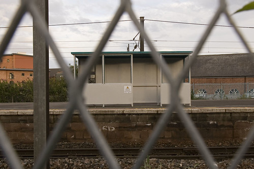 919571689_312e0ab451.jpg